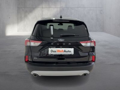 Ford Kuga Gebrauchtwagen Ford Kuga Gebrauchtwagen