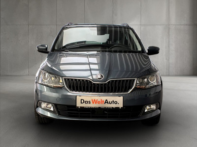 Skoda Fabia Gebrauchtwagen Skoda Fabia Gebrauchtwagen