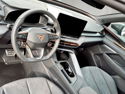 Cupra Terramar Gebrauchtwagen Cupra Terramar Gebrauchtwagen