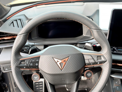 Cupra Terramar Gebrauchtwagen Cupra Terramar Gebrauchtwagen
