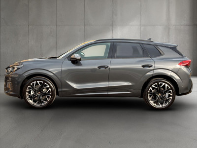 Cupra Terramar Gebrauchtwagen Cupra Terramar Gebrauchtwagen