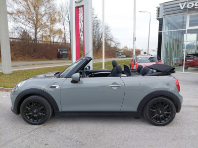MINI Cabrio Gebrauchtwagen