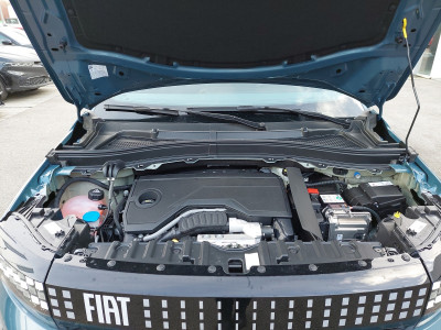 Fiat Grande Panda Vorführwagen