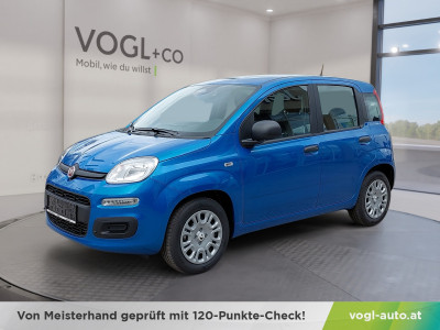 Fiat Panda Vorführwagen