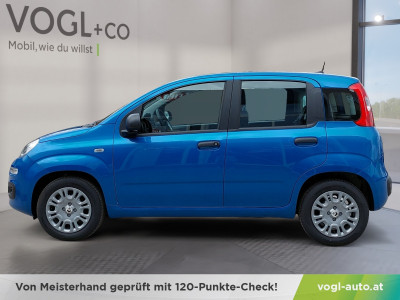 Fiat Panda Vorführwagen