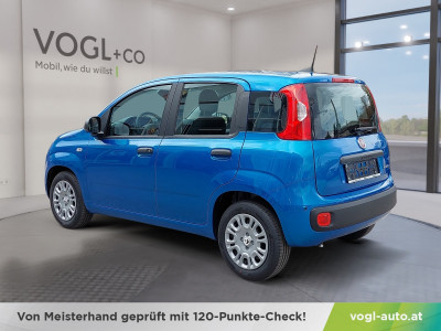 Fiat Panda Vorführwagen