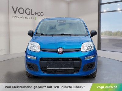 Fiat Panda Vorführwagen