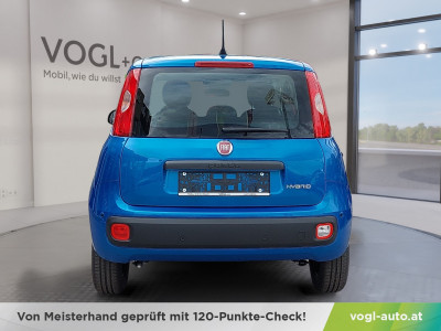 Fiat Panda Vorführwagen