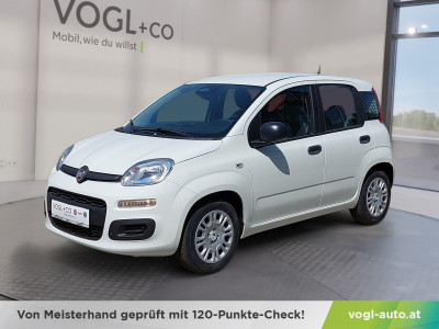 Fiat Panda Neuwagen