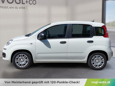 Fiat Panda Neuwagen Fiat Panda Neuwagen
