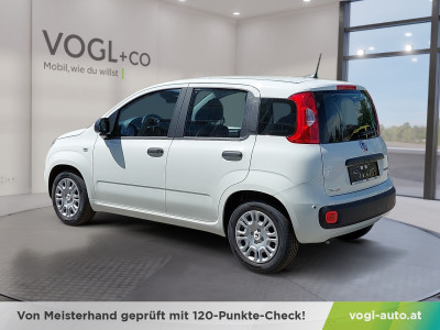 Fiat Panda Neuwagen Fiat Panda Neuwagen