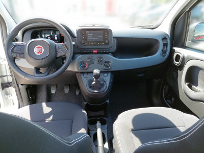 Fiat Panda Neuwagen Fiat Panda Neuwagen