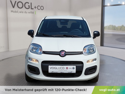 Fiat Panda Neuwagen Fiat Panda Neuwagen