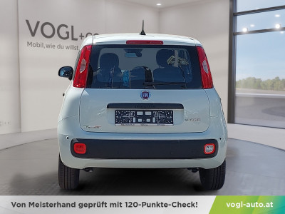 Fiat Panda Neuwagen Fiat Panda Neuwagen
