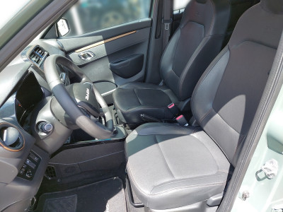 Dacia Spring Gebrauchtwagen