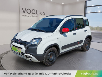 Fiat Panda Gebrauchtwagen Fiat Panda Gebrauchtwagen