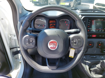 Fiat Panda Gebrauchtwagen Fiat Panda Gebrauchtwagen
