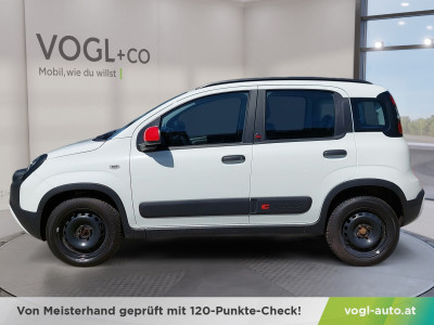 Fiat Panda Gebrauchtwagen Fiat Panda Gebrauchtwagen