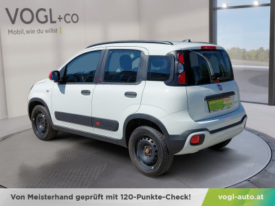 Fiat Panda Gebrauchtwagen Fiat Panda Gebrauchtwagen