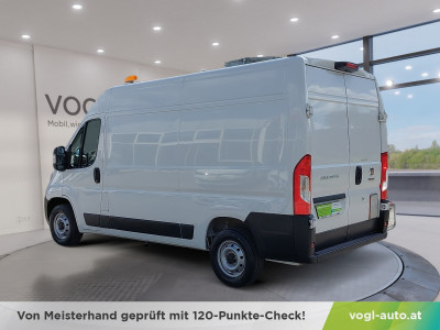 Fiat Ducato Gebrauchtwagen