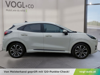Ford Puma Gebrauchtwagen Ford Puma Gebrauchtwagen
