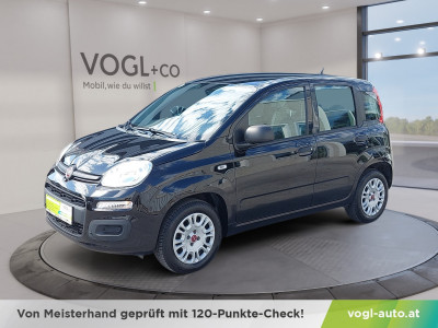 Fiat Panda Gebrauchtwagen Fiat Panda Gebrauchtwagen