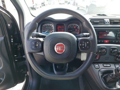 Fiat Panda Gebrauchtwagen Fiat Panda Gebrauchtwagen