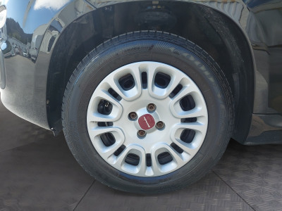 Fiat Panda Gebrauchtwagen Fiat Panda Gebrauchtwagen