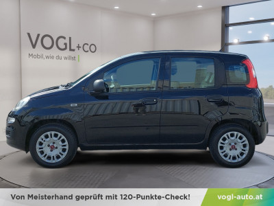 Fiat Panda Gebrauchtwagen Fiat Panda Gebrauchtwagen