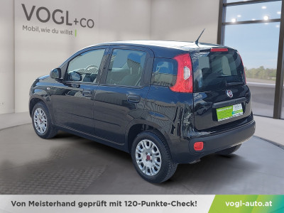 Fiat Panda Gebrauchtwagen Fiat Panda Gebrauchtwagen