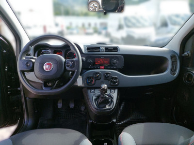 Fiat Panda Gebrauchtwagen Fiat Panda Gebrauchtwagen