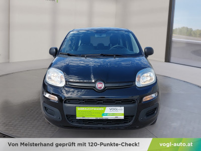 Fiat Panda Gebrauchtwagen Fiat Panda Gebrauchtwagen