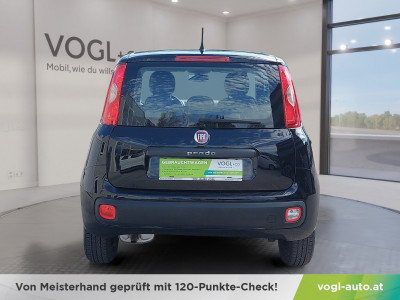 Fiat Panda Gebrauchtwagen Fiat Panda Gebrauchtwagen