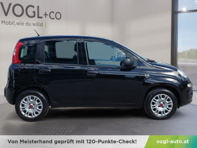 Fiat Panda Gebrauchtwagen Fiat Panda Gebrauchtwagen