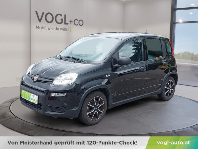 Fiat Panda Gebrauchtwagen Fiat Panda Gebrauchtwagen