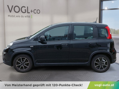 Fiat Panda Gebrauchtwagen Fiat Panda Gebrauchtwagen