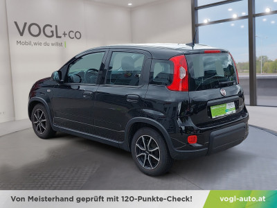 Fiat Panda Gebrauchtwagen Fiat Panda Gebrauchtwagen