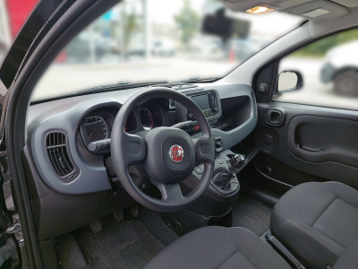 Fiat Panda Gebrauchtwagen Fiat Panda Gebrauchtwagen