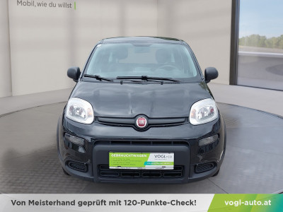 Fiat Panda Gebrauchtwagen Fiat Panda Gebrauchtwagen