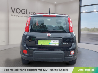 Fiat Panda Gebrauchtwagen Fiat Panda Gebrauchtwagen