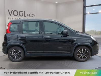 Fiat Panda Gebrauchtwagen Fiat Panda Gebrauchtwagen