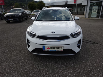 KIA Stonic Gebrauchtwagen