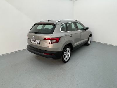 Skoda Karoq Gebrauchtwagen