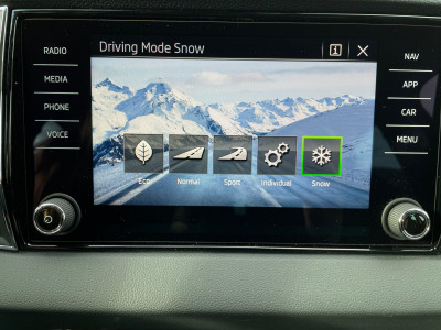 Skoda Karoq Gebrauchtwagen
