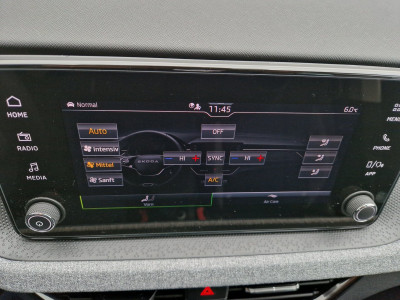 Skoda Kamiq Gebrauchtwagen