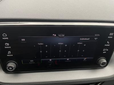 Skoda Scala Gebrauchtwagen