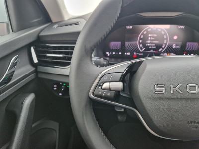 Skoda Scala Gebrauchtwagen