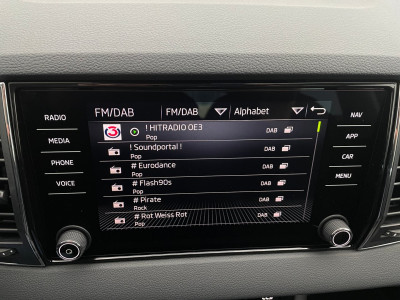 Skoda Karoq Gebrauchtwagen
