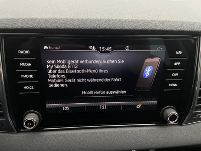 Skoda Karoq Gebrauchtwagen