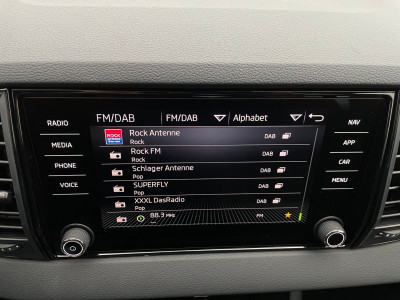 Skoda Karoq Gebrauchtwagen